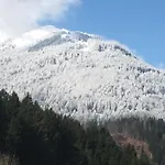 Elfi Tröpolach