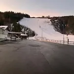 Elfi Tröpolach