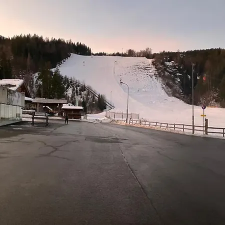Elfi Tröpolach